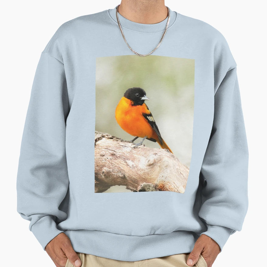 Baltimore Oriole Portrait Sweatshirt - Fun Novelty Design Men Women - T-Shirt, Sweatshirt, Hoodie