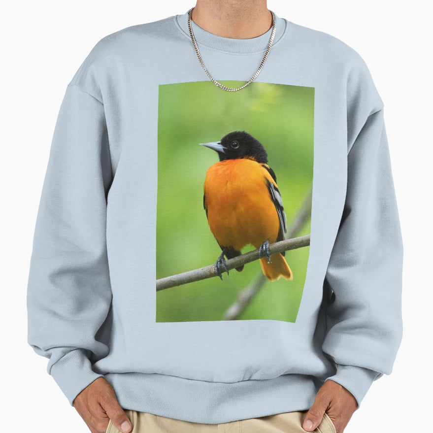 Baltimore Oriole Sweatshirt - Minimalist Print for Adults - T-Shirt, Sweatshirt, Hoodie