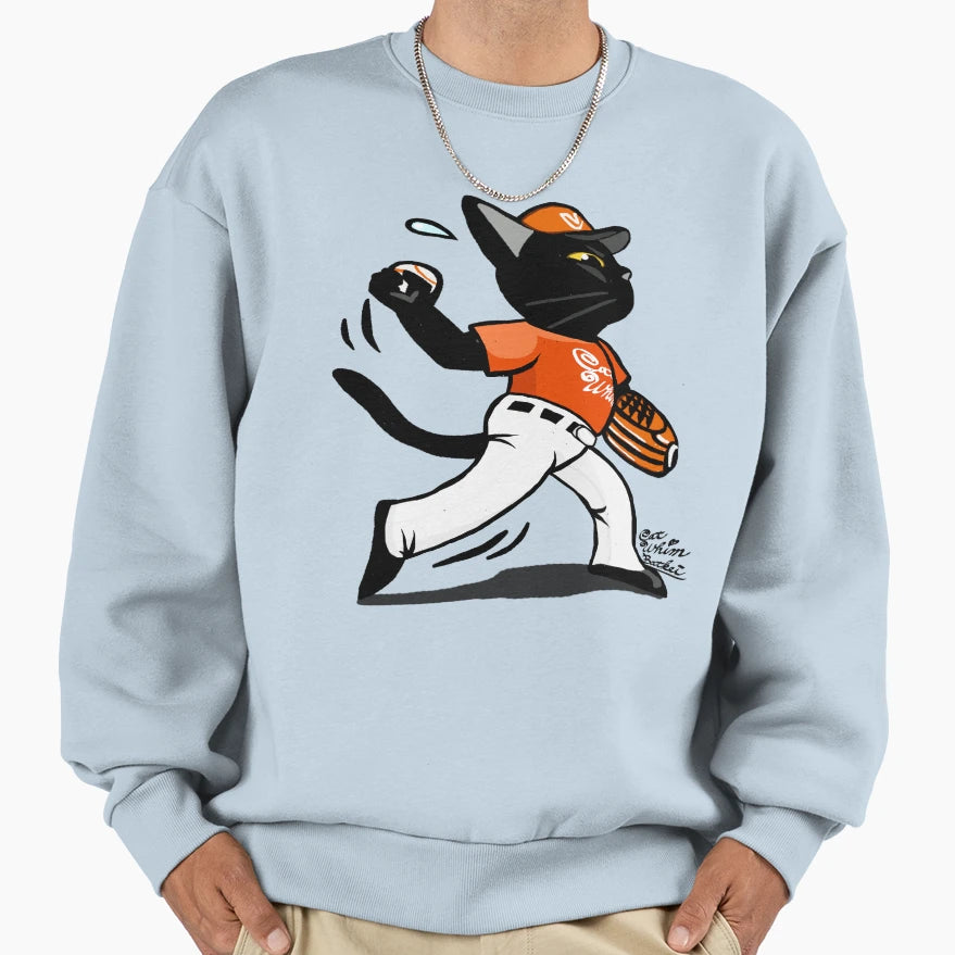 Baseball Pitcher Sweatshirt - Trendy Graphic for Adults - T-Shirt, Sweatshirt, Hoodie