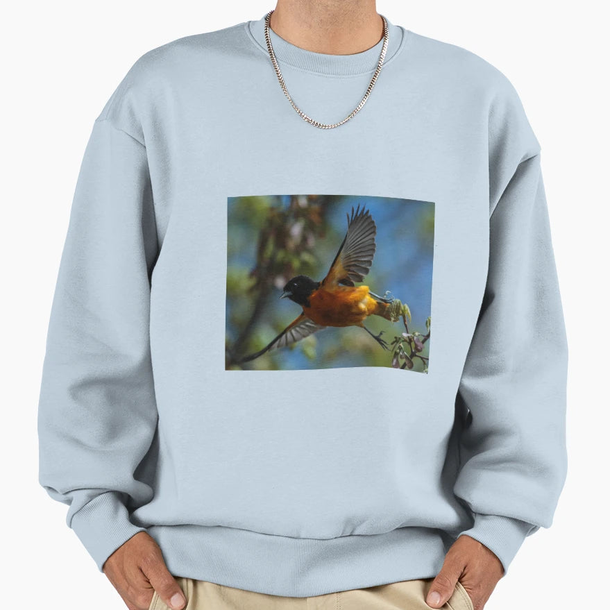 Oriole Flight Sweatshirt - Casual Everyday Wear for Adults - T-Shirt, Sweatshirt, Hoodie