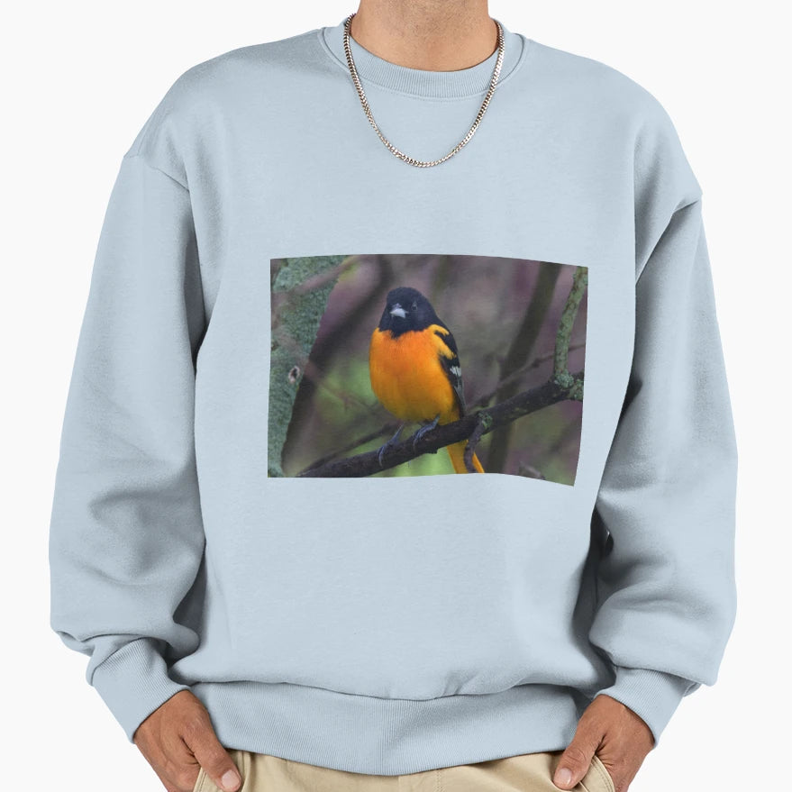 Male Baltimore Oriole Sweatshirt - Graphic Print Men Women - T-Shirt, Sweatshirt, Hoodie