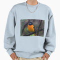 Male Baltimore Oriole Sweatshirt - Graphic Print Men Women - T-Shirt, Sweatshirt, Hoodie