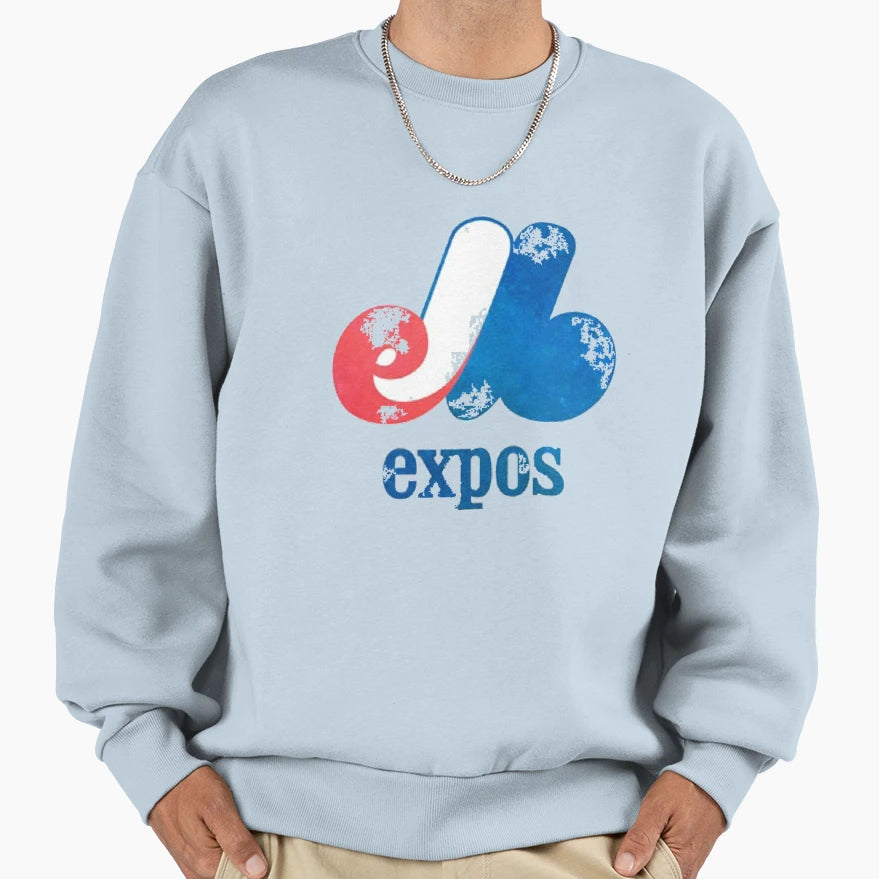 Baseball Team Washington Took Them Sweatshirt - Graphic Print for Adults - T-Shirt, Sweatshirt, Hoodie