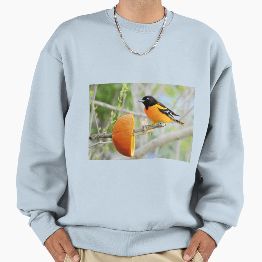 Baltimore Oriole Sweatshirt - Novelty Apparel for Adults - T-Shirt, Sweatshirt, Hoodie