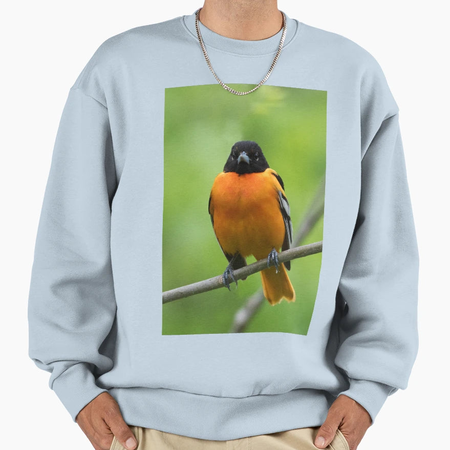 Baltimore Oriole Sweatshirt - Casual Everyday Wear Unisex - T-Shirt, Sweatshirt, Hoodie