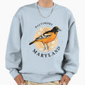 Maryland Sunset Colorful Sweatshirt - Novelty Apparel Men Women - T-Shirt, Sweatshirt, Hoodie