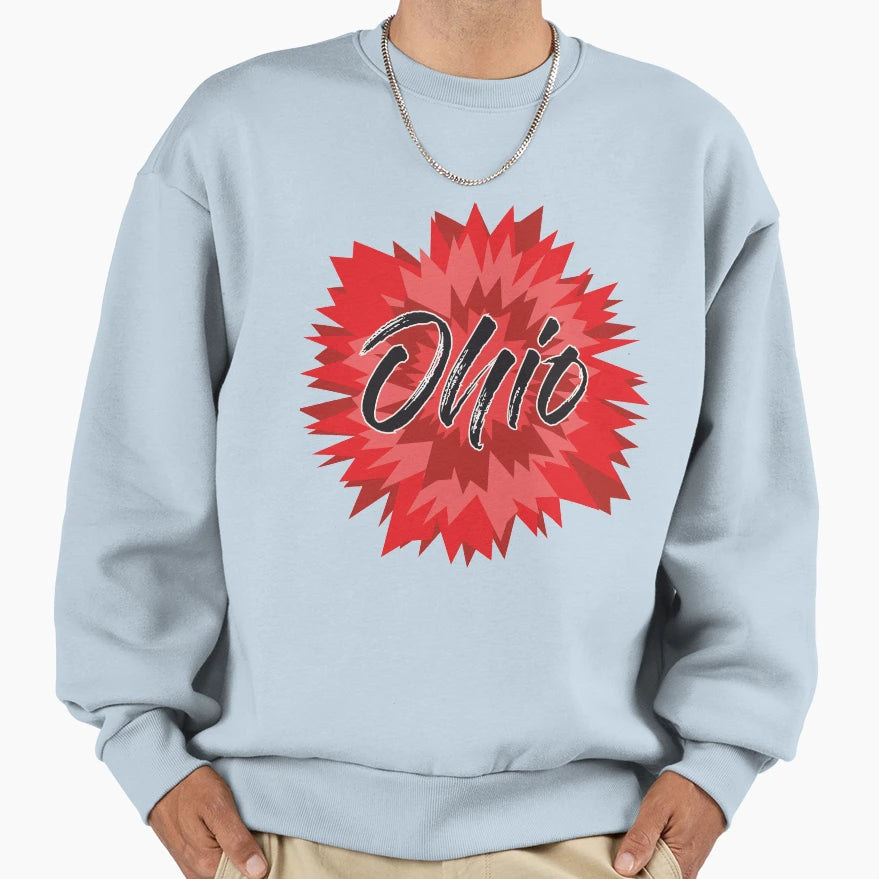State Ohio Sweatshirt - Minimalist Print for Adults - T-Shirt, Sweatshirt, Hoodie