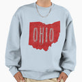 Ohio Sweatshirt - Aesthetic Graphic Men Women - T-Shirt, Sweatshirt, Hoodie