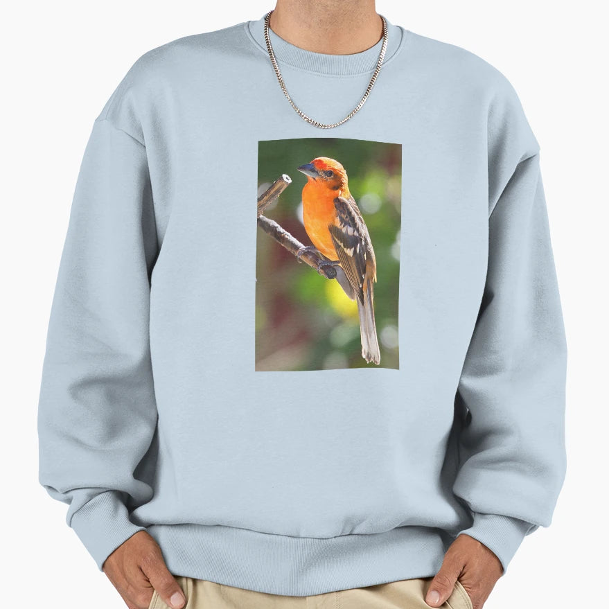 Baltimore Oriole Sweatshirt - Unique Graphic for Adults - T-Shirt, Sweatshirt, Hoodie
