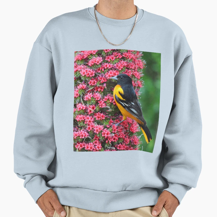 Baltimore Oriole Sweatshirt - Unique Graphic Men Women - T-Shirt, Sweatshirt, Hoodie