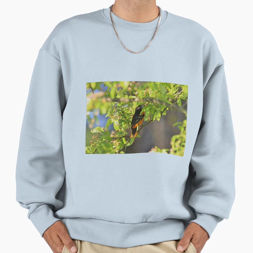 Baltimore Oriole Back View Sweatshirt - Aesthetic Graphic Unisex - T-Shirt, Sweatshirt, Hoodie