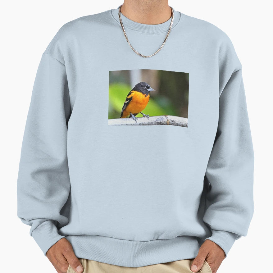 Baltimore Oriole Sweatshirt - Novelty Apparel Unisex - T-Shirt, Sweatshirt, Hoodie