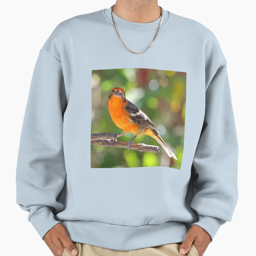 Baltimore Oriole Sweatshirt - Custom Art Print for Adults - T-Shirt, Sweatshirt, Hoodie