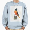 Baltimore Oriole Sweatshirt - Fun Novelty Design Unisex - T-Shirt, Sweatshirt, Hoodie
