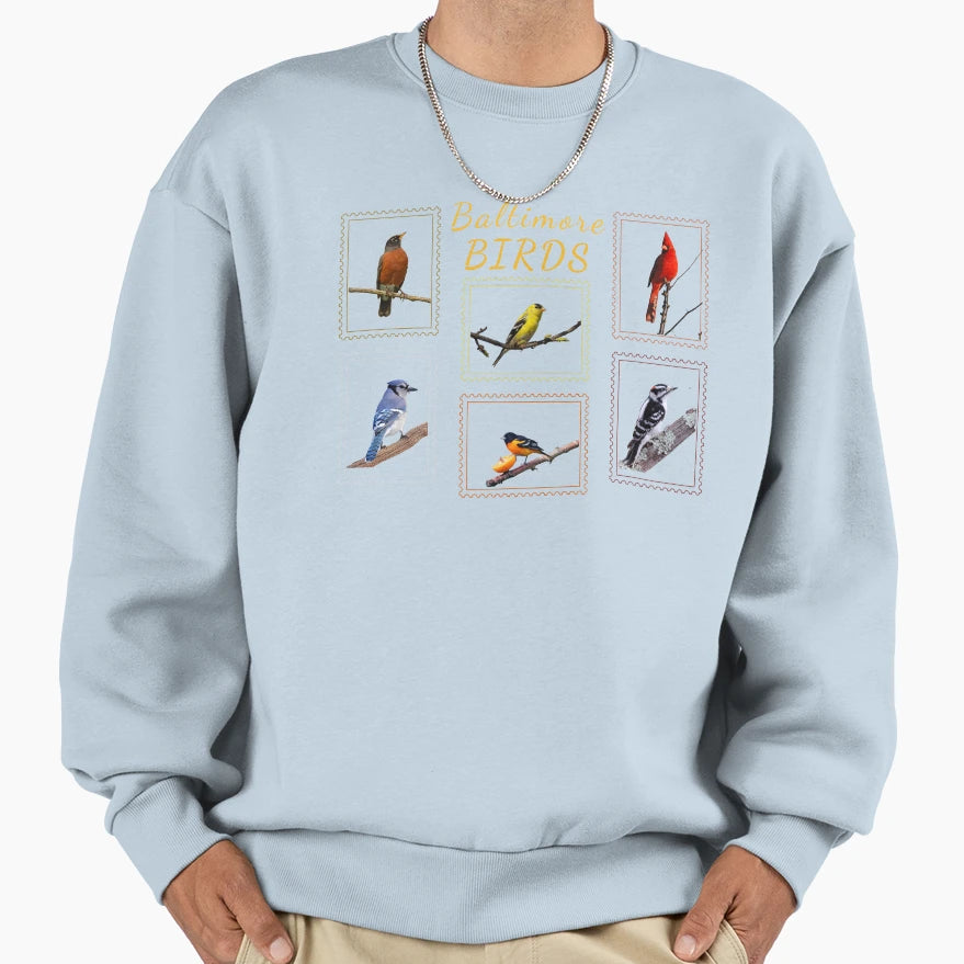 Baltimore Birds Wildlife Sweatshirt - Casual Everyday Wear for Adults - T-Shirt, Sweatshirt, Hoodie