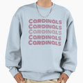 Red Cardinals Bird Lovers Sweatshirt - Aesthetic Graphic for Adults - T-Shirt, Sweatshirt, Hoodie