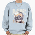 Baltimore City Sweatshirt - Novelty Apparel Unisex - T-Shirt, Sweatshirt, Hoodie