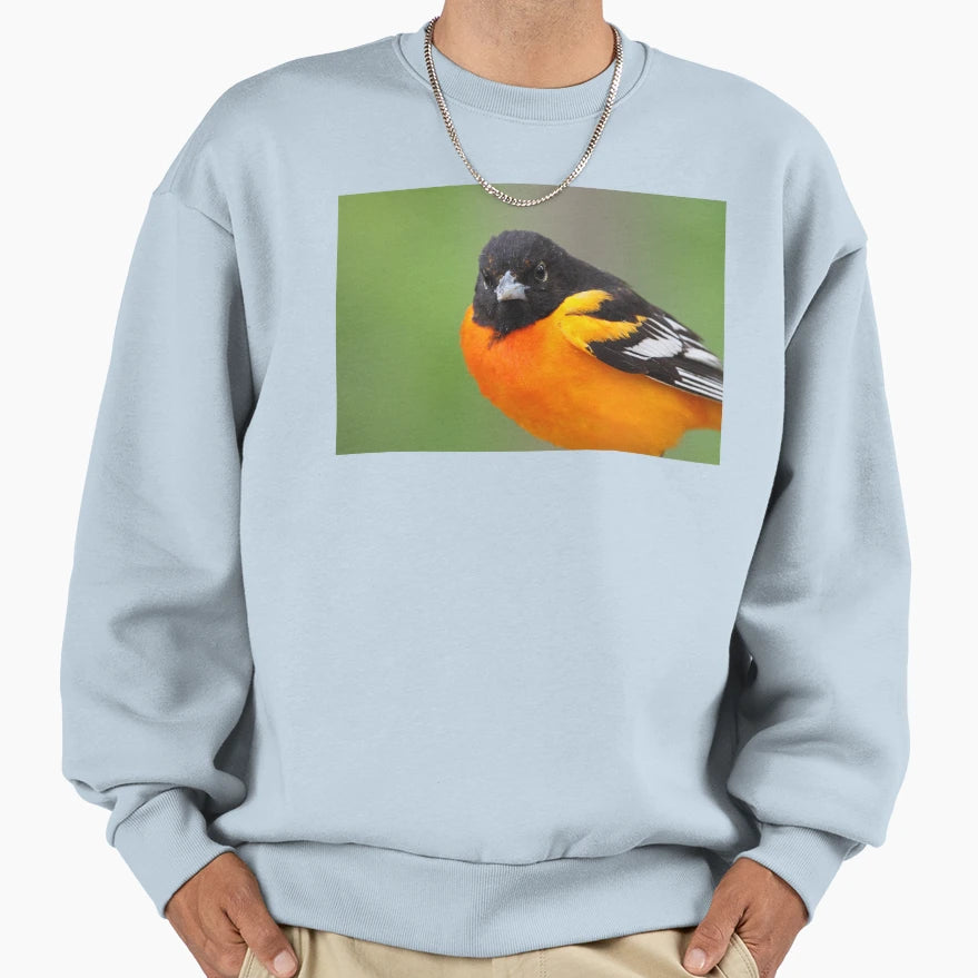 Baltimore Oriole Sweatshirt - Trendy Graphic for Adults - T-Shirt, Sweatshirt, Hoodie