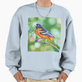 Baltimore Oriole Bird Painting Sweatshirt - Streetwear Style Men Women - T-Shirt, Sweatshirt, Hoodie