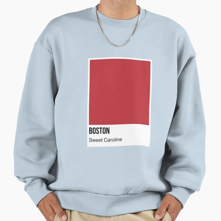 Boston V1 Sweatshirt - Custom Art Print Men Women - T-Shirt, Sweatshirt, Hoodie