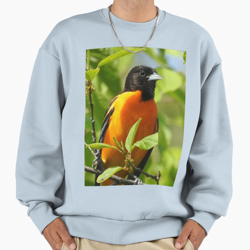 Baltimore Oriole Sweatshirt - Novelty Apparel Unisex - T-Shirt, Sweatshirt, Hoodie