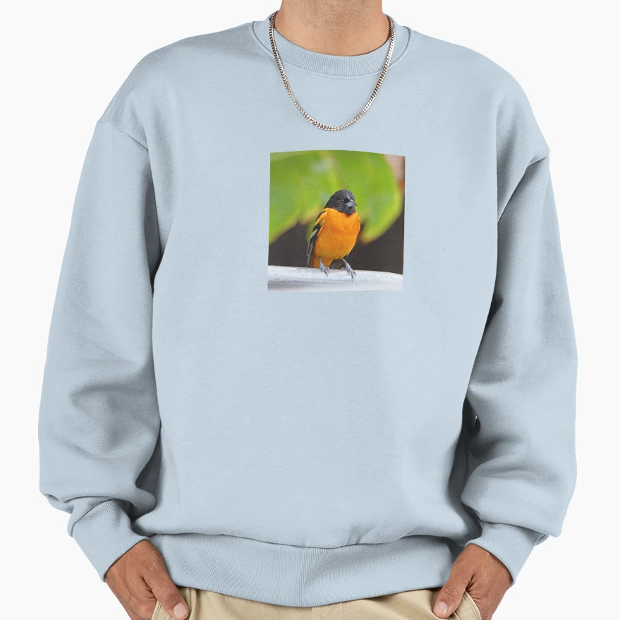 Baltimore Oriole Sweatshirt - Graphic Print for Adults - T-Shirt, Sweatshirt, Hoodie