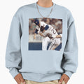 Robin Vs Nolan Sweatshirt - Trendy Graphic for Adults - T-Shirt, Sweatshirt, Hoodie