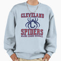 Cleveland Spiders Defunct Team Sweatshirt - Fun Novelty Design for Adults - T-Shirt, Sweatshirt, Hoodie