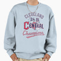 2024 Division Champion Sweatshirt - Casual Everyday Wear for Adults - T-Shirt, Sweatshirt, Hoodie