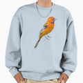 Streak Backed Oriole White Alternate Sweatshirt - Unique Graphic Unisex - T-Shirt, Sweatshirt, Hoodie