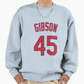 Gibby Sweatshirt - Novelty Apparel for Adults - T-Shirt, Sweatshirt, Hoodie