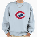Chicago Whales Sweatshirt - Aesthetic Graphic Men Women - T-Shirt, Sweatshirt, Hoodie