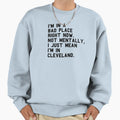 Funny Cleveland Insult Sweatshirt - Novelty Apparel for Adults - T-Shirt, Sweatshirt, Hoodie