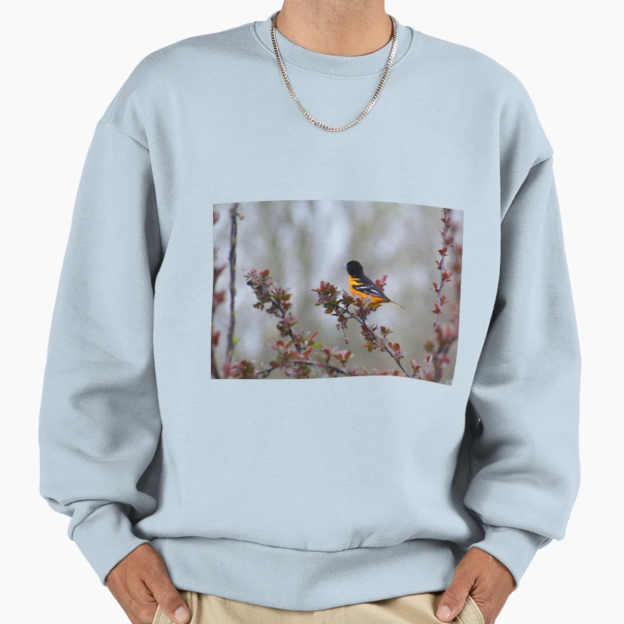 Oriole Singing Sweatshirt - Novelty Apparel Unisex - T-Shirt, Sweatshirt, Hoodie