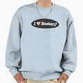 I Hate Boston Red Sweatshirt - Unique Graphic Unisex - T-Shirt, Sweatshirt, Hoodie