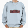 Cleveland Gladiators Sweatshirt - Casual Everyday Wear for Adults - T-Shirt, Sweatshirt, Hoodie