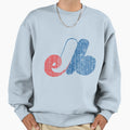Montreal Expos Sweatshirt - Custom Art Print for Adults - T-Shirt, Sweatshirt, Hoodie