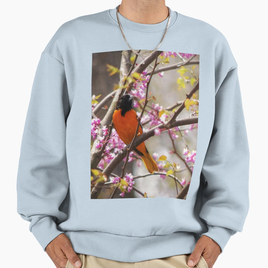 Baltimore Oriole Sweatshirt - Novelty Apparel for Adults - T-Shirt, Sweatshirt, Hoodie