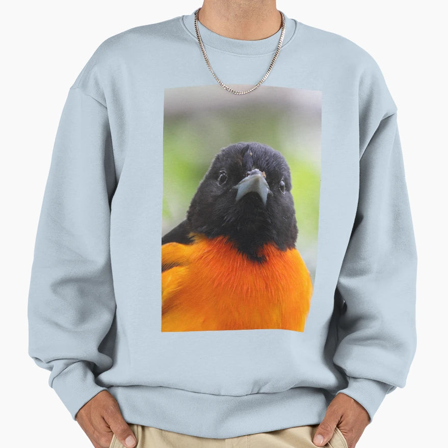 Baltimore Oriole Sweatshirt - Unique Graphic for Adults - T-Shirt, Sweatshirt, Hoodie