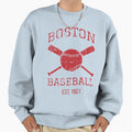 Boston Baseball Team I Sweatshirt - Novelty Apparel for Adults - T-Shirt, Sweatshirt, Hoodie