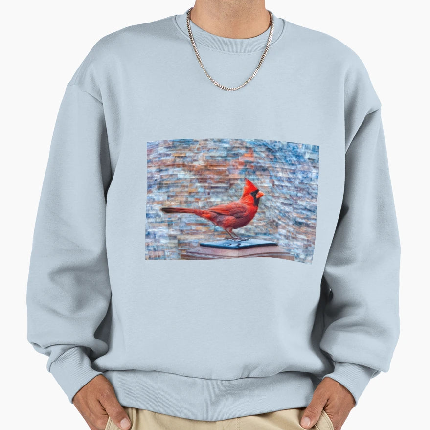Cardinal X 2 Sweatshirt - Custom Art Print Men Women - T-Shirt, Sweatshirt, Hoodie