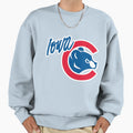 Ic2 Ball Sweatshirt - Unique Graphic for Adults - T-Shirt, Sweatshirt, Hoodie