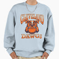 Art Cleveland Browns Sweatshirt - Aesthetic Graphic for Adults - T-Shirt, Sweatshirt, Hoodie