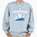 Washington Dc Baseball Hometown Sweatshirt - Custom Art Print Men Women - T-Shirt, Sweatshirt, Hoodie