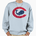 Chicago Whales T-Shirt - Graphic Print for Adults - T-Shirt, Sweatshirt, Hoodie