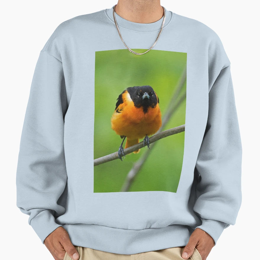 Baltimore Oriole Sweatshirt - Fun Novelty Design Men Women - T-Shirt, Sweatshirt, Hoodie