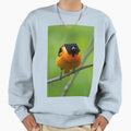 Baltimore Oriole Sweatshirt - Fun Novelty Design Men Women - T-Shirt, Sweatshirt, Hoodie