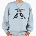 Baltimore Birds Sweatshirt - Novelty Apparel Men Women - T-Shirt, Sweatshirt, Hoodie