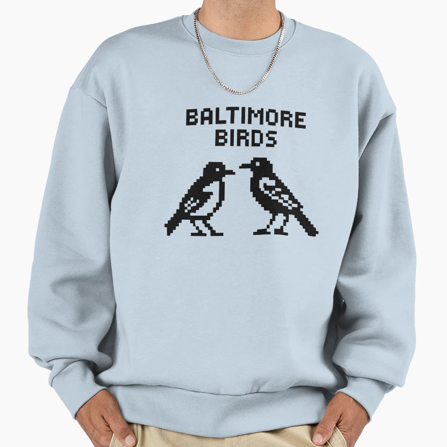 Baltimore Birds Sweatshirt - Novelty Apparel Men Women - T-Shirt, Sweatshirt, Hoodie
