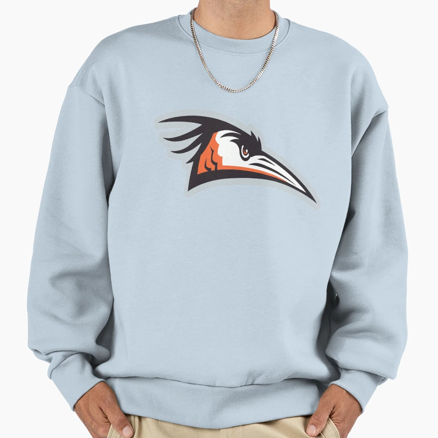 Delmarva Shorebirds Sweatshirt - Trendy Graphic for Adults - T-Shirt, Sweatshirt, Hoodie